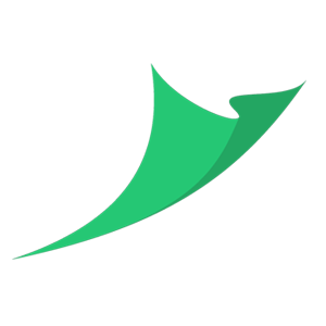 Logo Icon